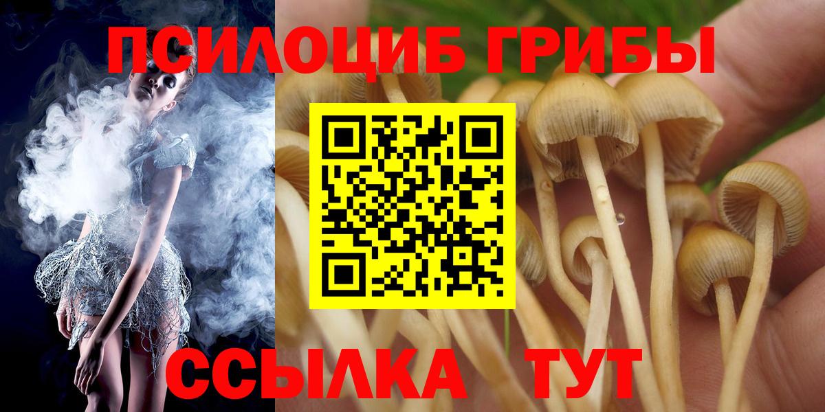 Псилоцибиновые грибы мухоморы  Вход с VPN  Псилоцибиновые грибы Psilocybine cubensis  Кыштым 